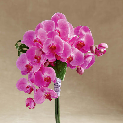 Glorious Bouquet –  Morgan Hill Florist, San Jose CA