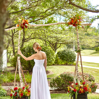 Arbor of Love Archway –  Morgan Hill Florist, San Jose CA