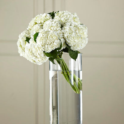 White Hydrangea Hand-Tied Bouquet –  Morgan Hill Florist, San Jose CA