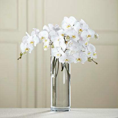 White Phalaenopsis Bouquet –  Morgan Hill Florist, San Jose CA